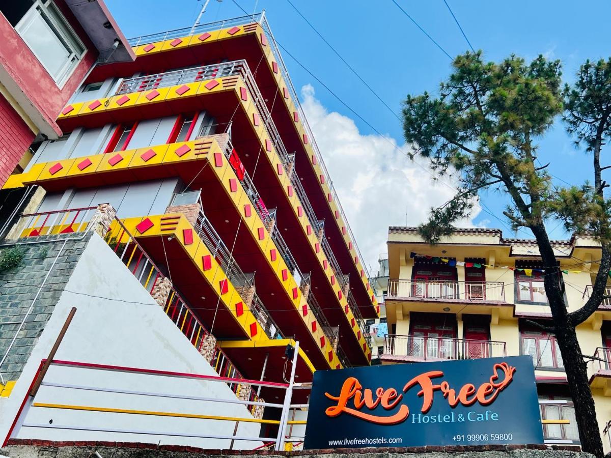 Live Free Hostel, Mcleodganj McLeod Ganj Eksteriør billede